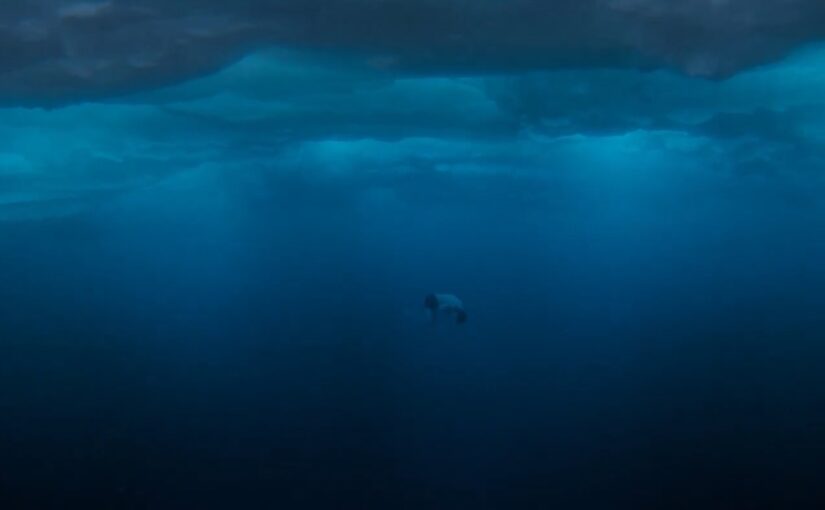 The Many False Deaths of Ethan Hunt